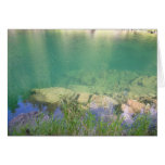 Breitenbush River, Oregon Greeting Card