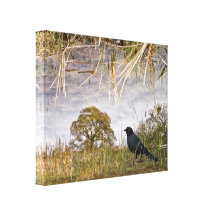 Brewers Backbird Montage canvas wrap Stretched Canvas Prints
