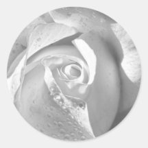 Bridal Rose White Flower Sticker