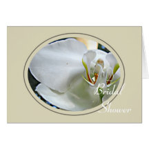 Bridal     Shower Card