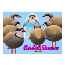Bridal Shower Invite