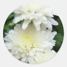 Bridal white mum stickers