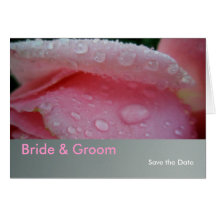 Bride & Groom Save the Date Cards
