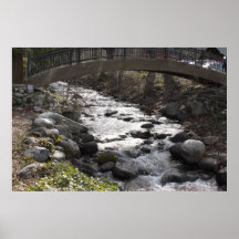 Bridge at the park poster