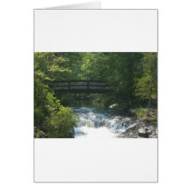 Bridge Card