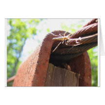 Bridge Guardian Card