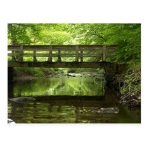 Bridge in the Woods Postcard