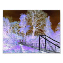 bridge photo art