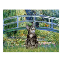 Bridge - Tabby Tiger Cat 31 Post Cards