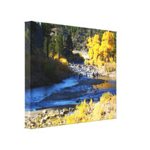 Bright Creek Canvas Print