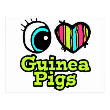 Bright Eye Heart I Love Guinea Pigs Postcards