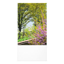 Bright Future Custom Photo Card