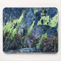 Bright green moss on rocks from the Forest Mousepad