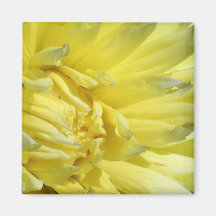 Bright, Lemon Yellow Dahlia Refrigerator Magnet