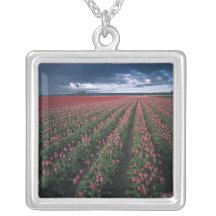 Bright pink and red tulips glow under dark custom jewelry