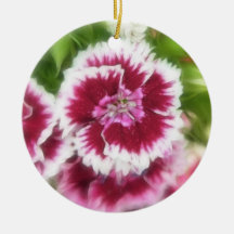 Bright Pink Sweet William Flowers Ornament