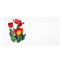 Bright Red Tulips Custom Photo Card