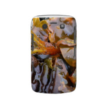 Bright Seaweed (blackberry case)