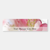 Bright Spring Apple Blossoms Bumper Sticker