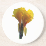 Bright Yellow Flower Cutout Picture Photo Beverage Coasters