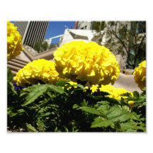 Bright Yellow Flowers Art Photo