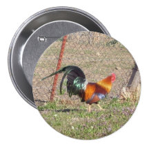Brightly Feathered Pride Pinback Button