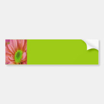 Brilliant daisy bumper stickers
