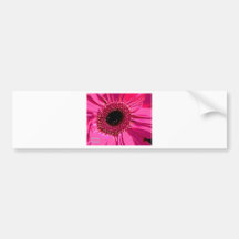 brilliant fuscha bumper sticker