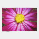 Brilliant Pink Cosmo Hand Towel