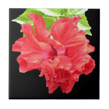 Brilliant Red Hibiscus Flower Tiles