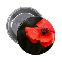 Brilliant Red Poppy Buttons