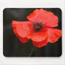 Brilliant Red Poppy Mousepad