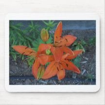 Brilliant Tiger Lily Mousemat