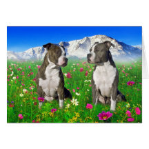 Brindle & Blue Staffordshire & Pit Bull Dogs Cards
