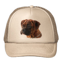 Brindle Boxer puppy Hat