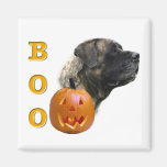 Brindle Mastiff Boo Magnet