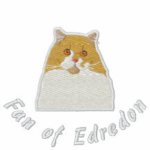 British longhair fan of Edredon