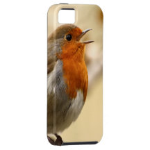 British Robin Redbreast iPhone 5 Cases