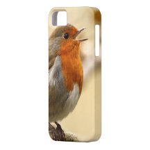 British Robin Redbreast iPhone 5 Cases