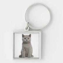 British Shorthair Kitten (10 weeks old) 2 Key Chain