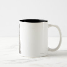 British Shorthair Kitten (10 weeks old) 2 Mug