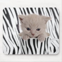 British shorthair kitten in mug mouse pads