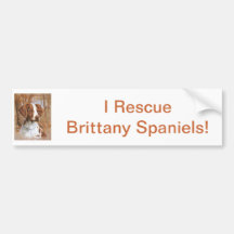 Brittany Spaniel Bumper Sticker