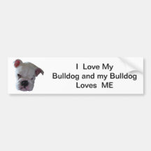 Brittish Bulldog puppy Bumper Stickers