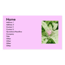 Bromeliad Business Card