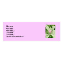 Bromeliad Profile Card Business Cards