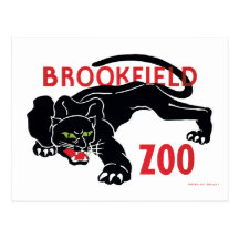 Brookfield Zoo Black Leopard Postcard