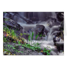Brooks Streams Greeting Card