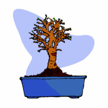 Broom Bonsai Trimmed Blue Pot Graphic Image Photo Cutouts