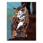 Brown and White Owl Postcard